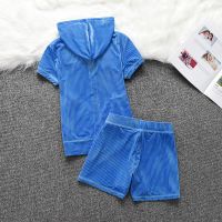 Juicy Couture Shimmery Corduroy Velour Tracksuits 668 2pcs Women Suits Blue